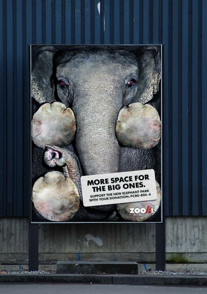 Мощная социальная реклама о животных