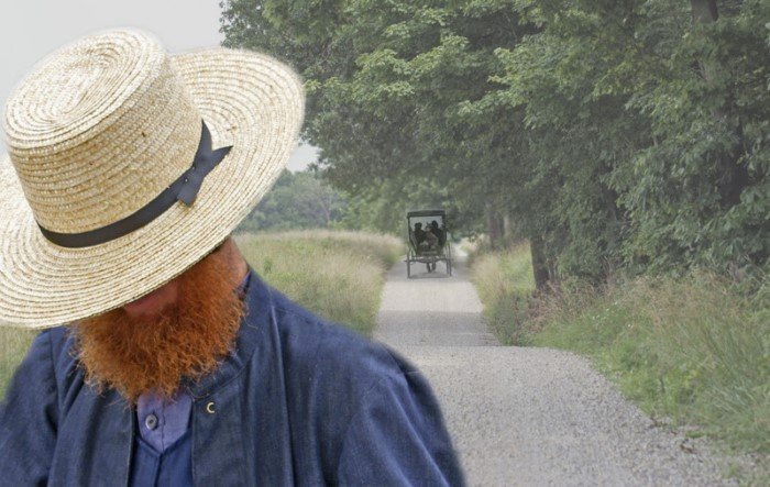 10 непривычных фактов об амишах