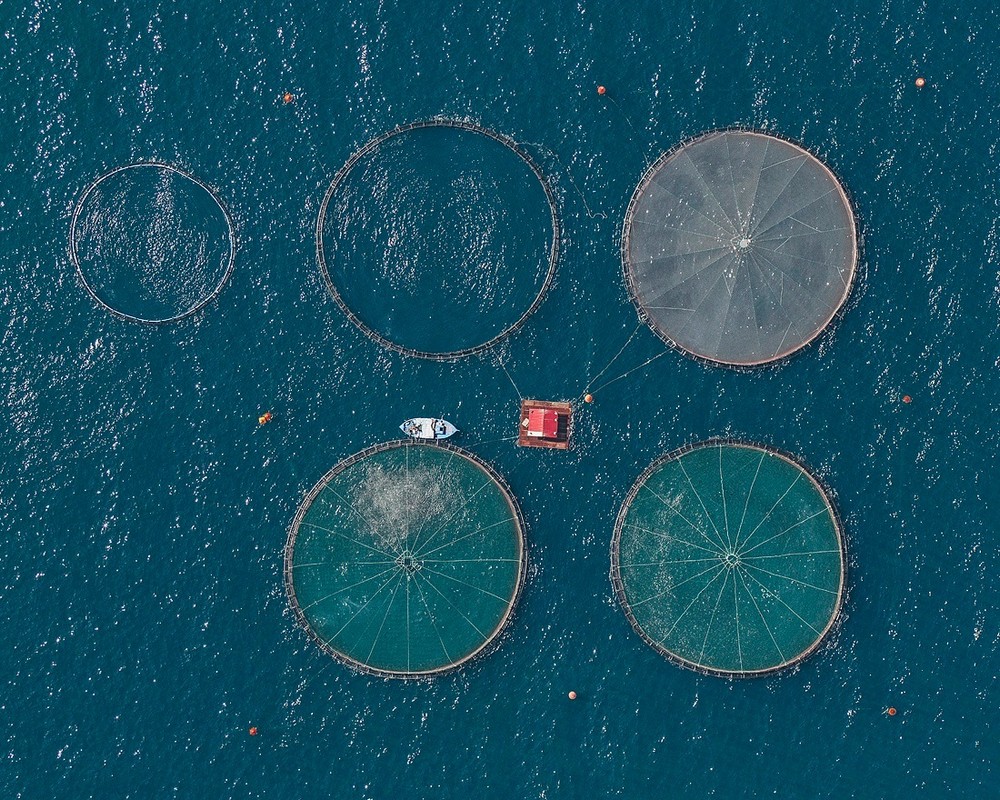 Рыбные хозяйства Греции с высоты