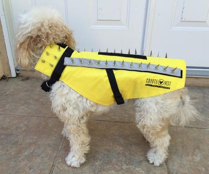 Защитные жилеты для собак