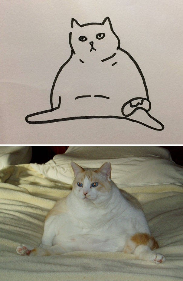 Прикольные рисунки котов по силуэтам