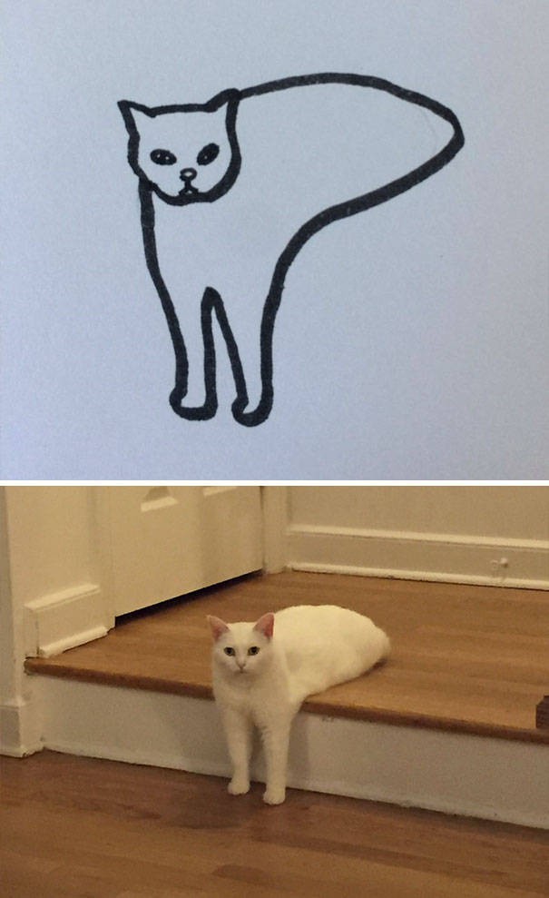 Прикольные рисунки котов по силуэтам