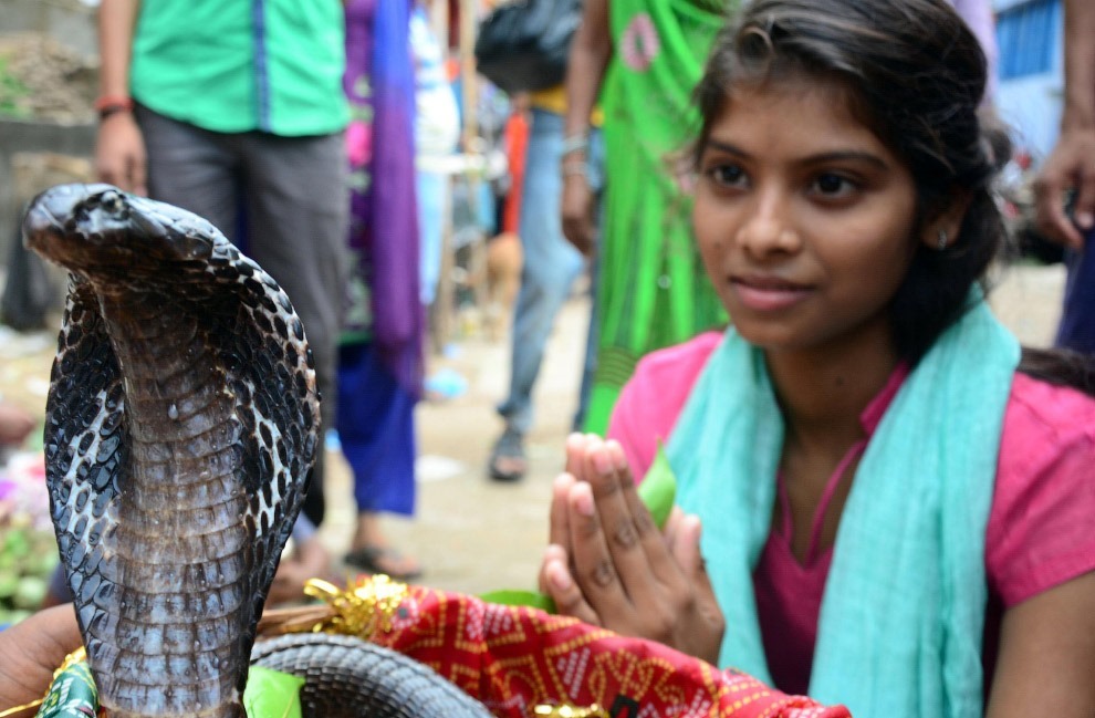 Змеиный фестиваль Nag Panchami 2017