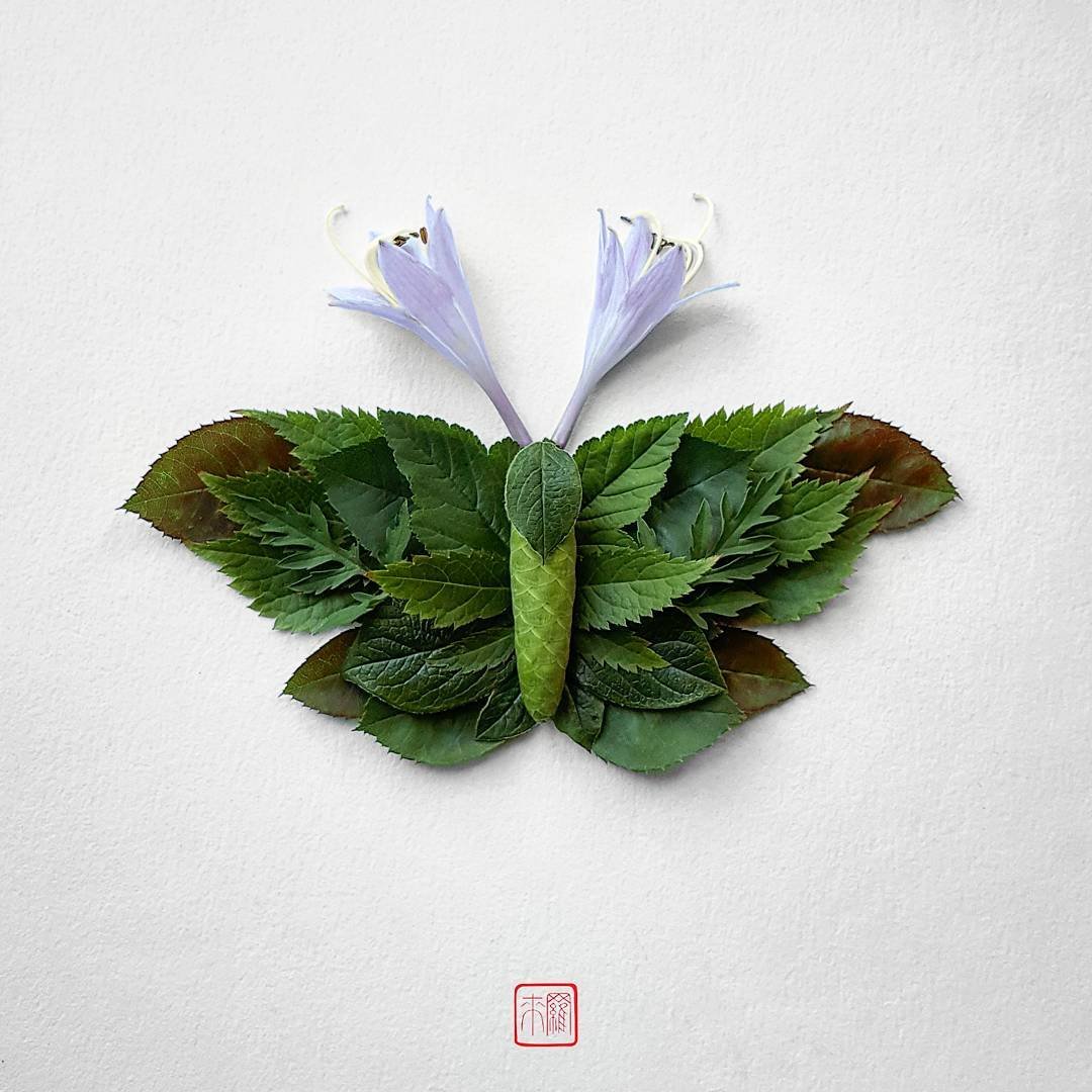 Цветочные насекомые от художника Раку Иноуэ
