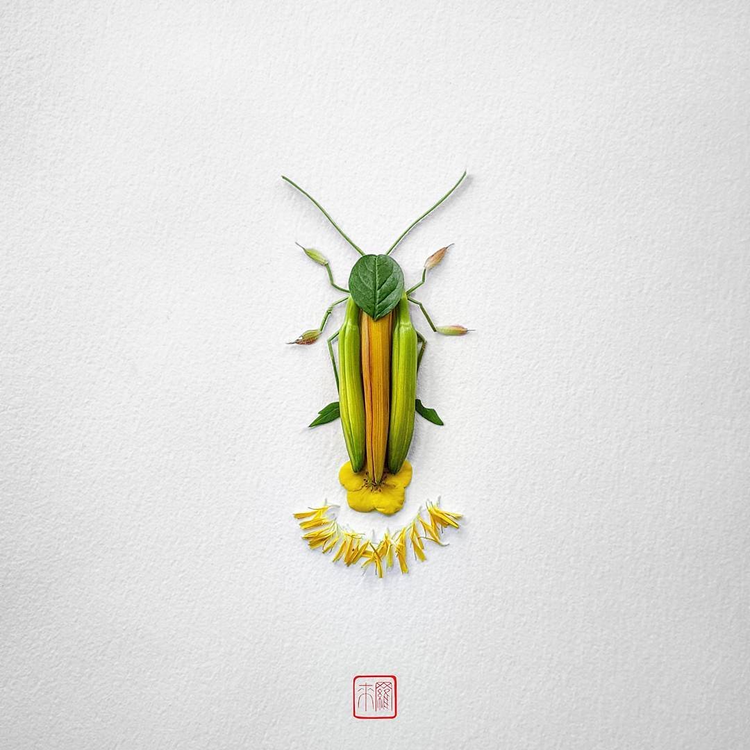 Цветочные насекомые от художника Раку Иноуэ