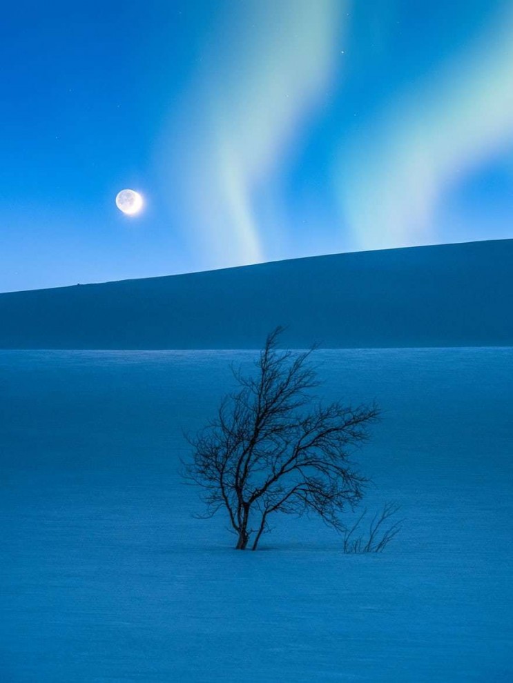 Короткий список астрономического фотоконкурса Insight Astronomy Photographer of the Year