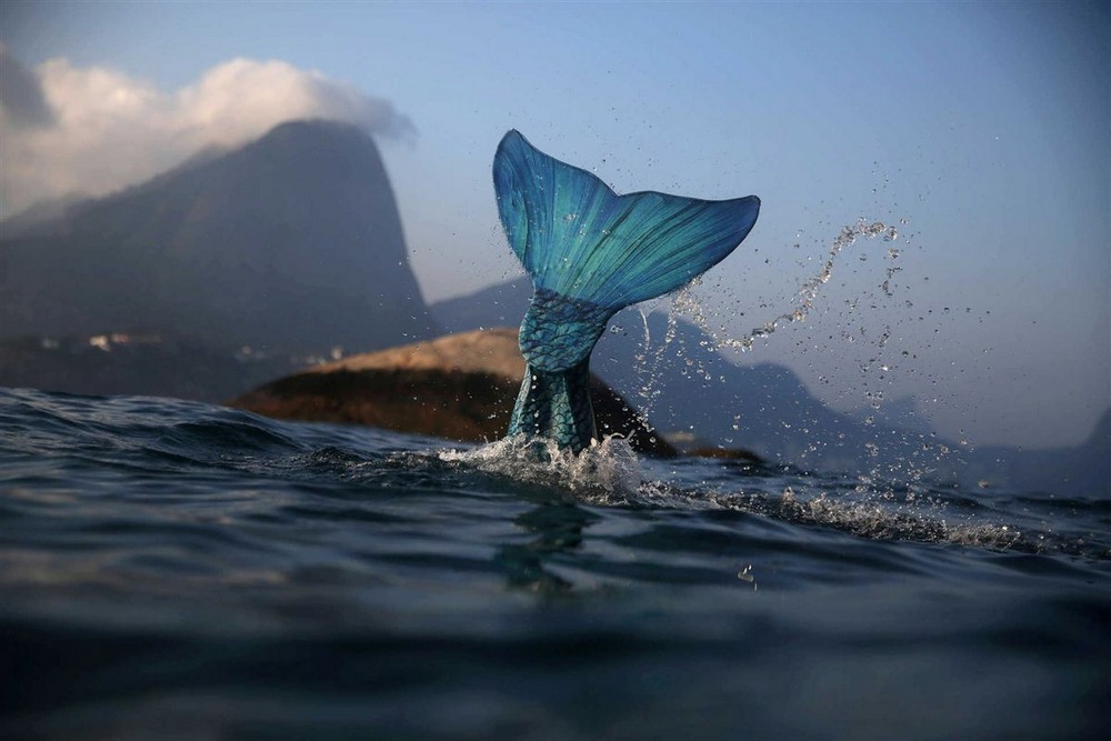Бразильские русалки занимаются благотворительностью