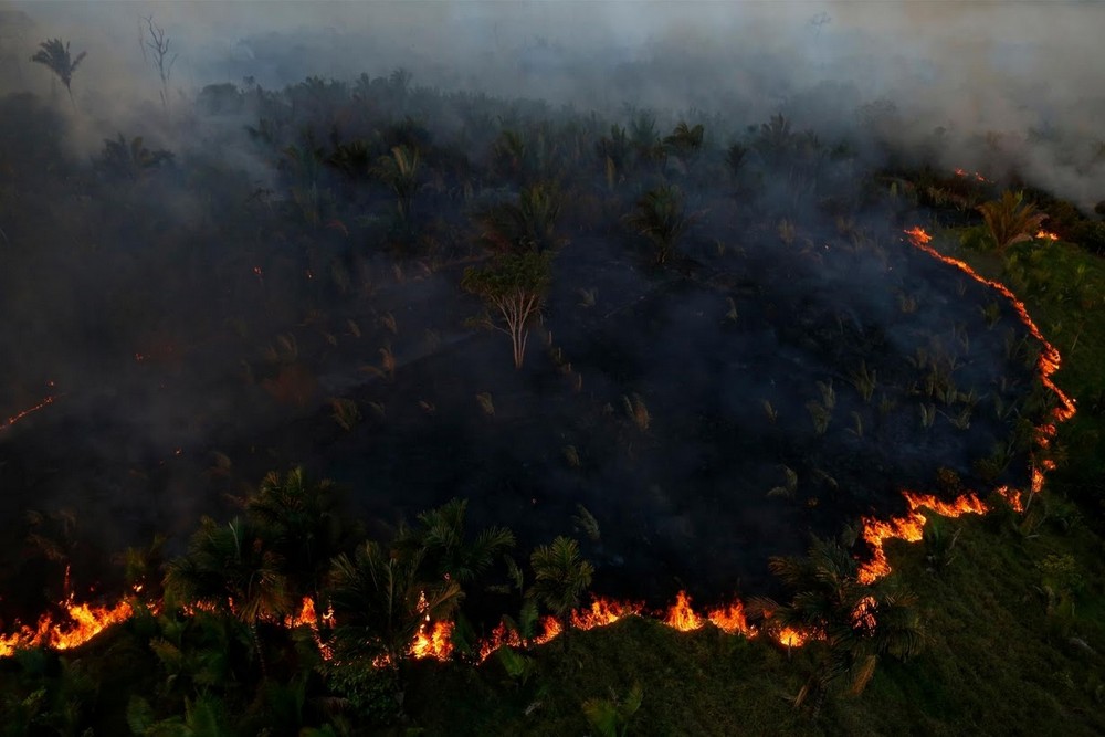 Борьба с пожарами и вырубкой лесов в Амазонии