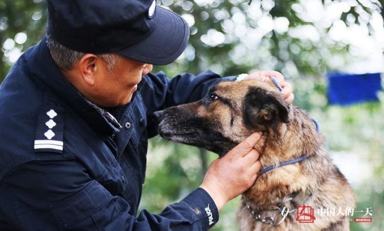 Полицейский открыл дом престарелых для служебных собак на пенсии