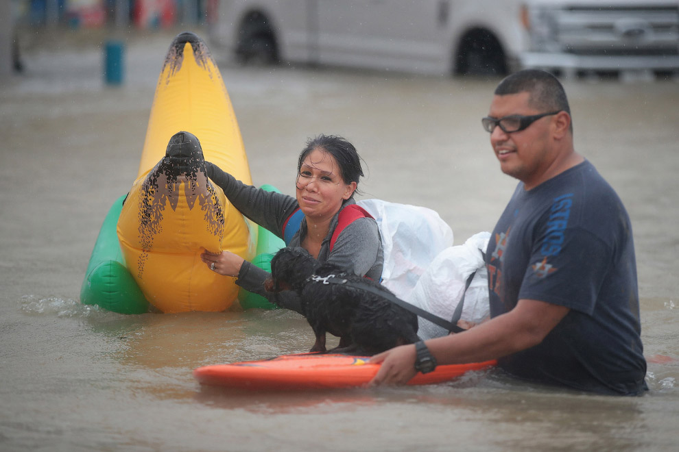 Как в США спасали домашних животных от урагана Харви