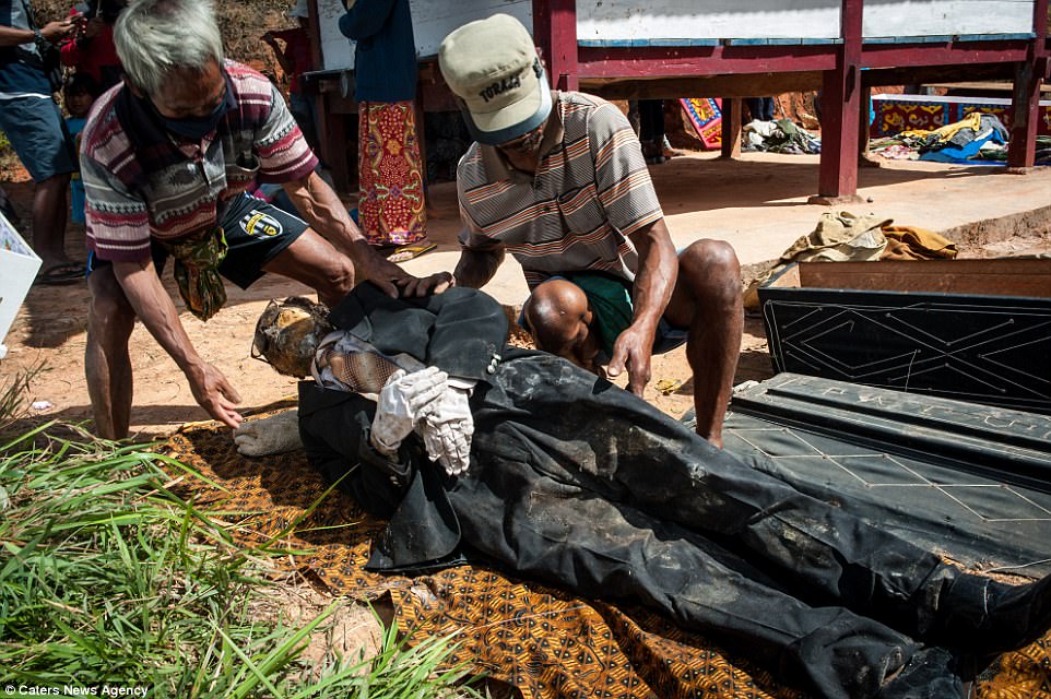Праздник урожая: индонезийцы выкапывают и переодевают умерших родственников
