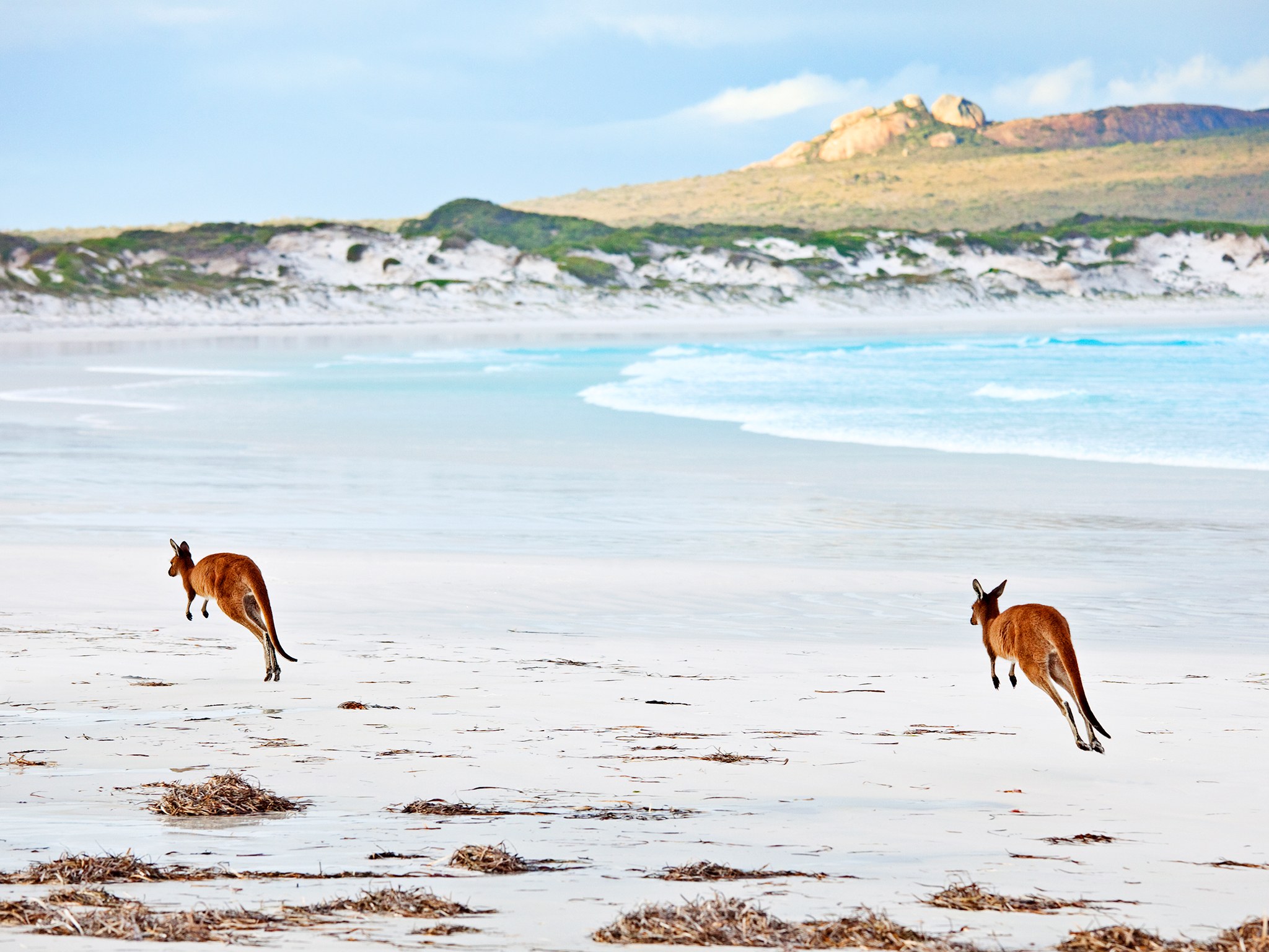 25 красивейших мест Австралии
