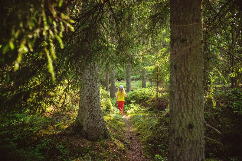 Волшебная 200-летняя избушка в шведском лесу