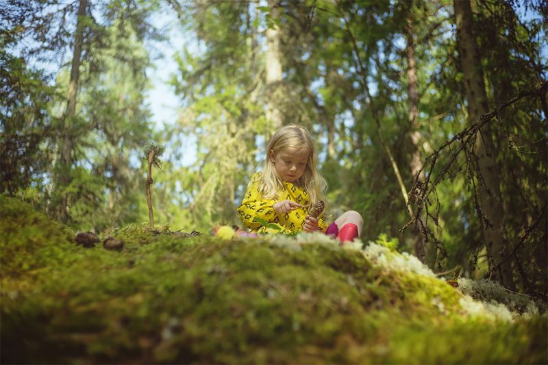Волшебная 200-летняя избушка в шведском лесу