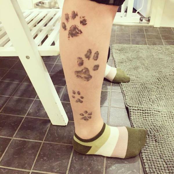 Татуировки с лапой любимой собаки