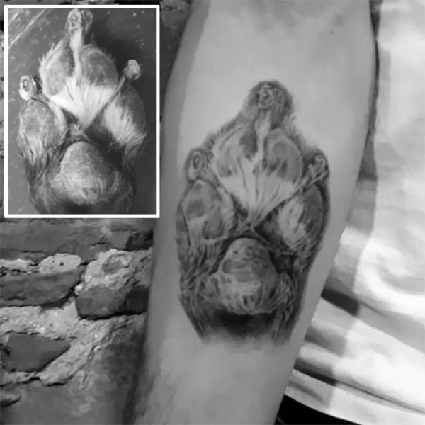 Татуировки с лапой любимой собаки