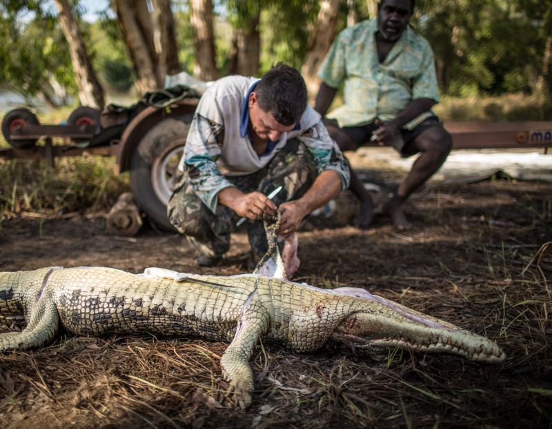 Быт австралийских охотников на гигантских крокодилов