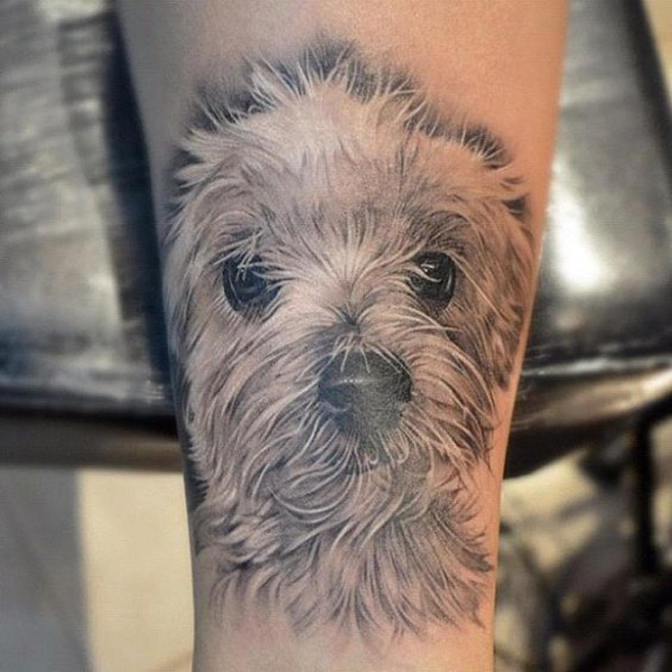 Владельцы собак и татуировки с мордами их любимцев
