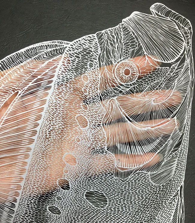 Японский художник вырезает из бумаги детализированные фигуры
