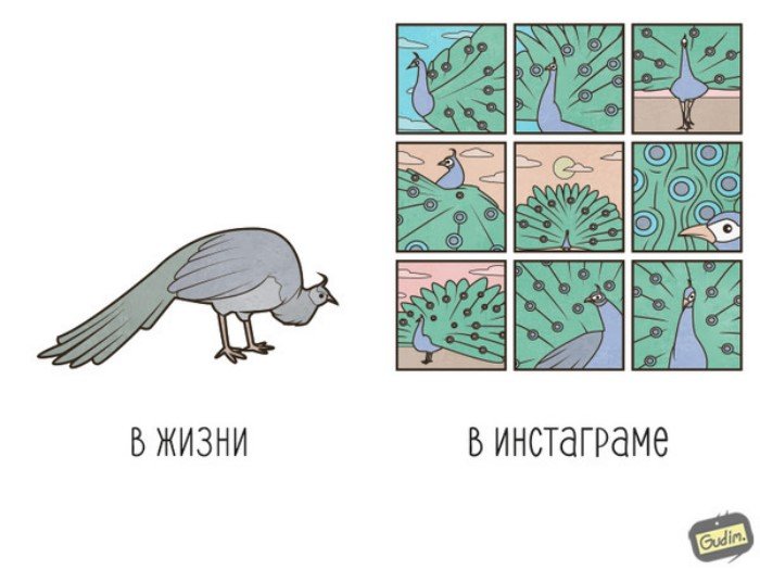 Саркастические иллюстрации от Антона Гудима