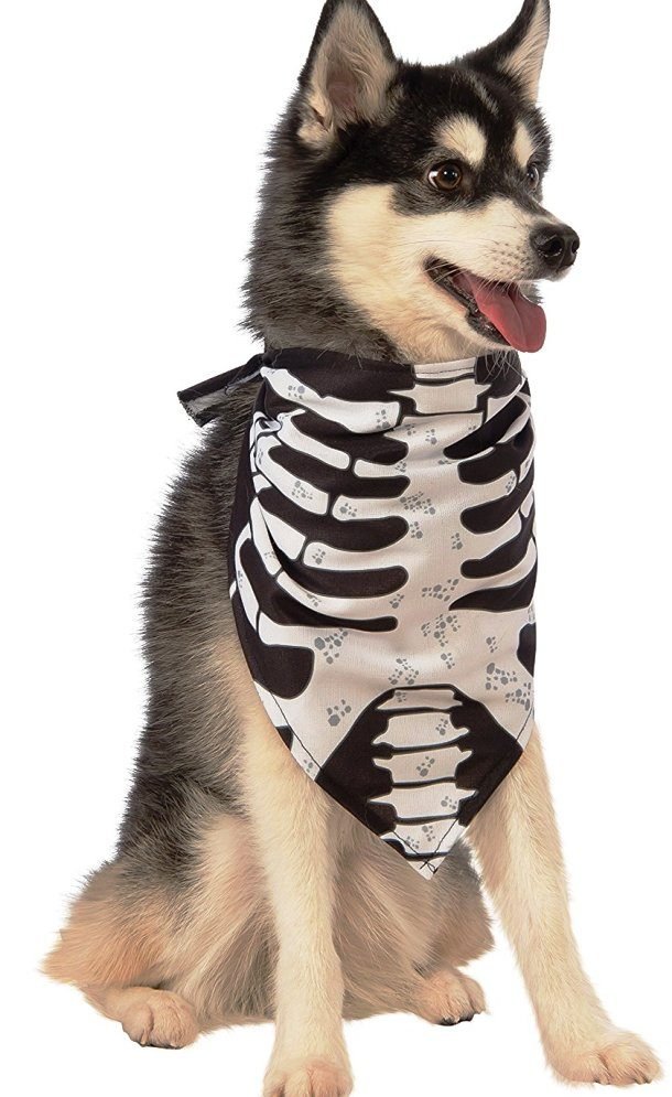 Костюмы для собак на Хэллоуин