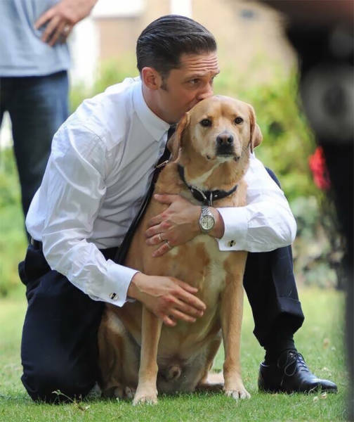 Том Харди очень любит собак