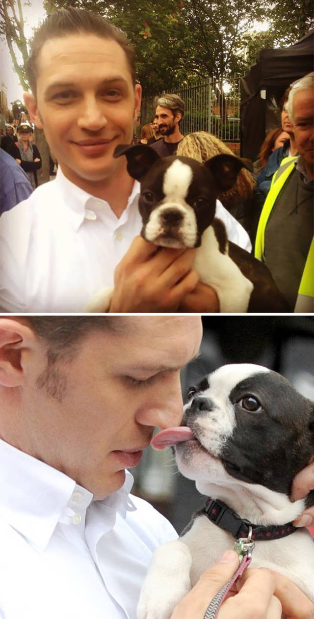 Том Харди очень любит собак