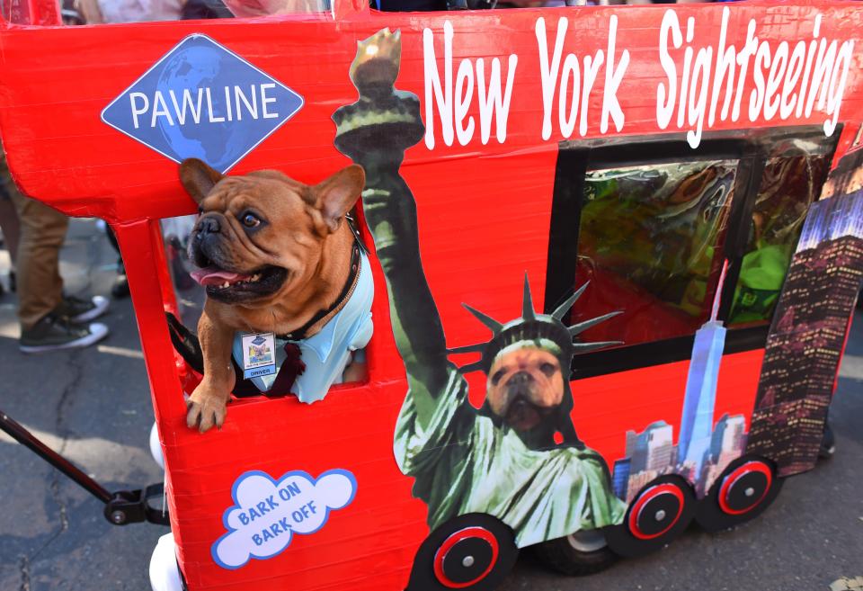 Парад собак в удивительных костюмах в Нью-Йорке