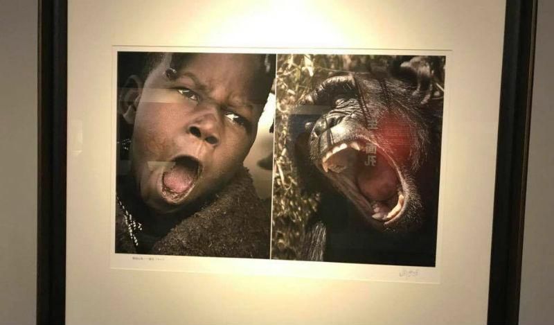 Фотовыставку в Китае закрыли из-за сравнения африканцев с обезьянами