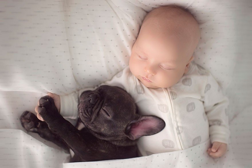 Родившиеся в один день малыш и щенок стали друзьями