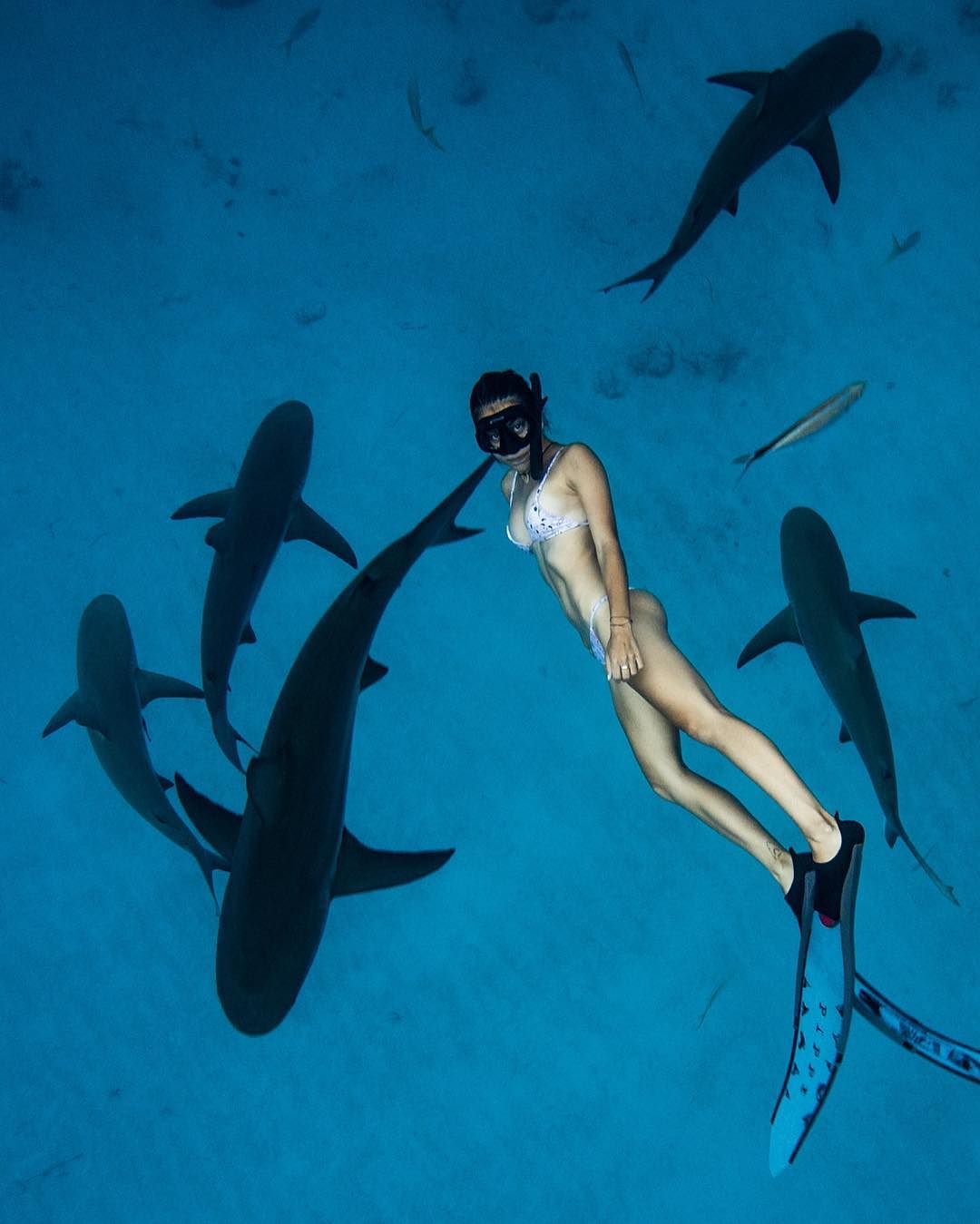 Австралийка без опаски плавает с акулами