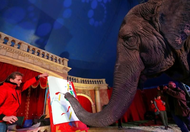 Картины слонихи продают по 150 баксов