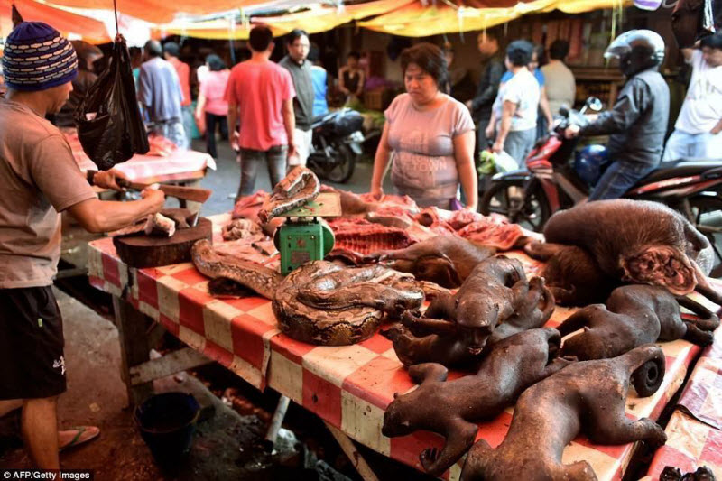 Экзотические животные на индонезийских продовольственных рынках
