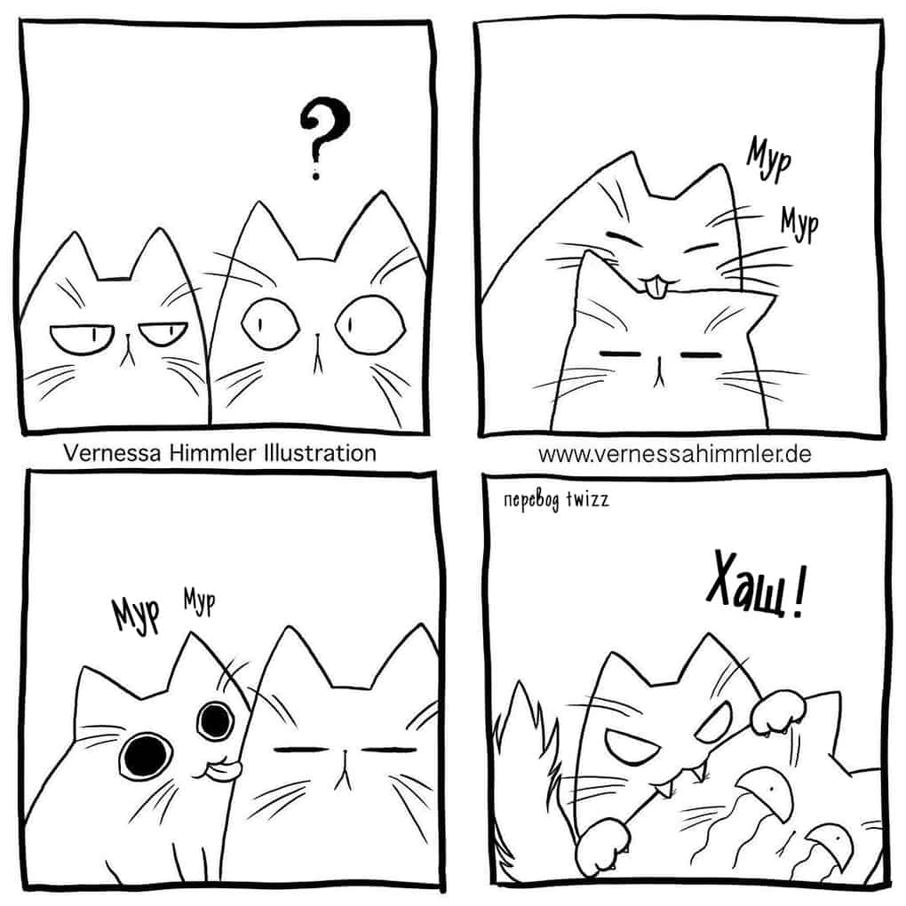 Комиксы о том, как живётся человеку, у которого есть кот