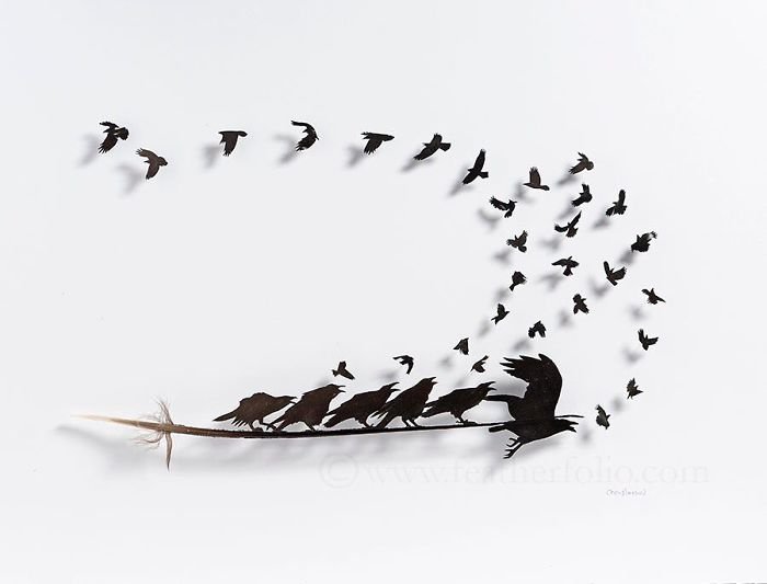 Произведения искусства из птичьих перьев