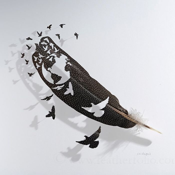 Произведения искусства из птичьих перьев