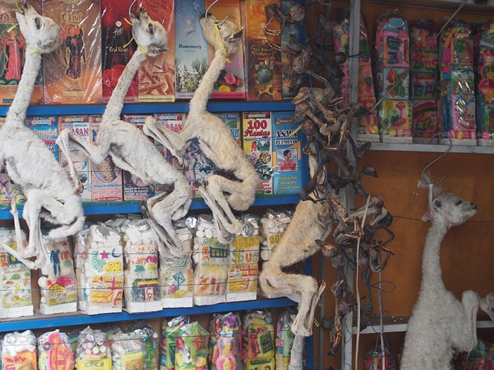 Рынок для ведьм в Ла-Пасе