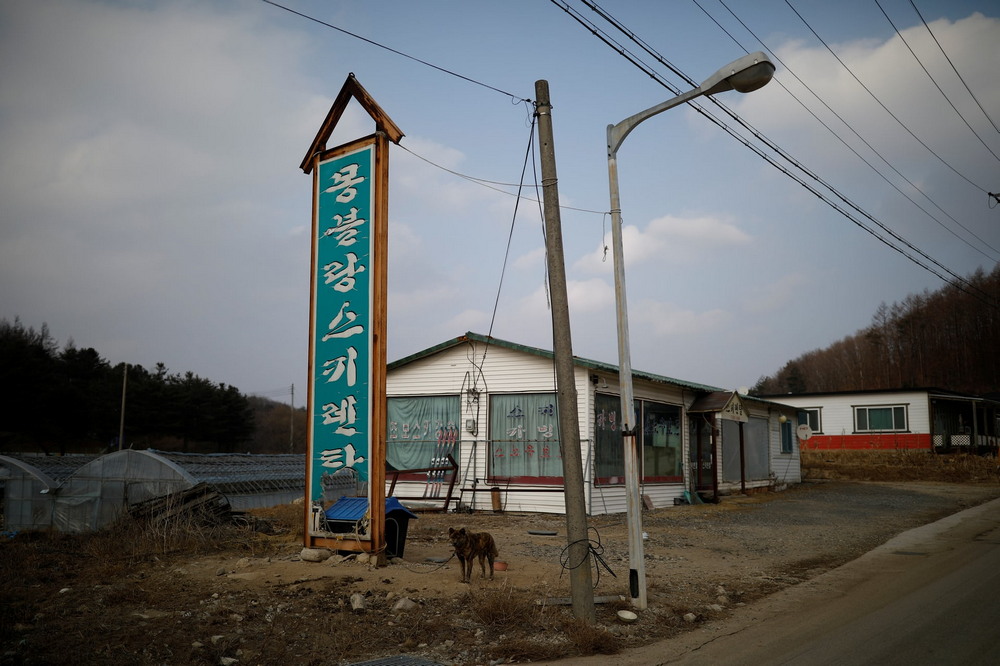 Заброшенный горнолыжный курорт в Южной Корее