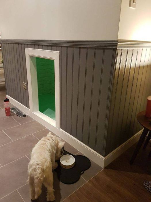 Уютная комната под лестницей для любимой собаки