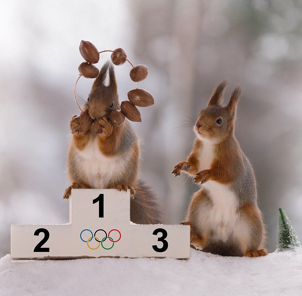Белки готовятся к Зимним Олимпийским играм