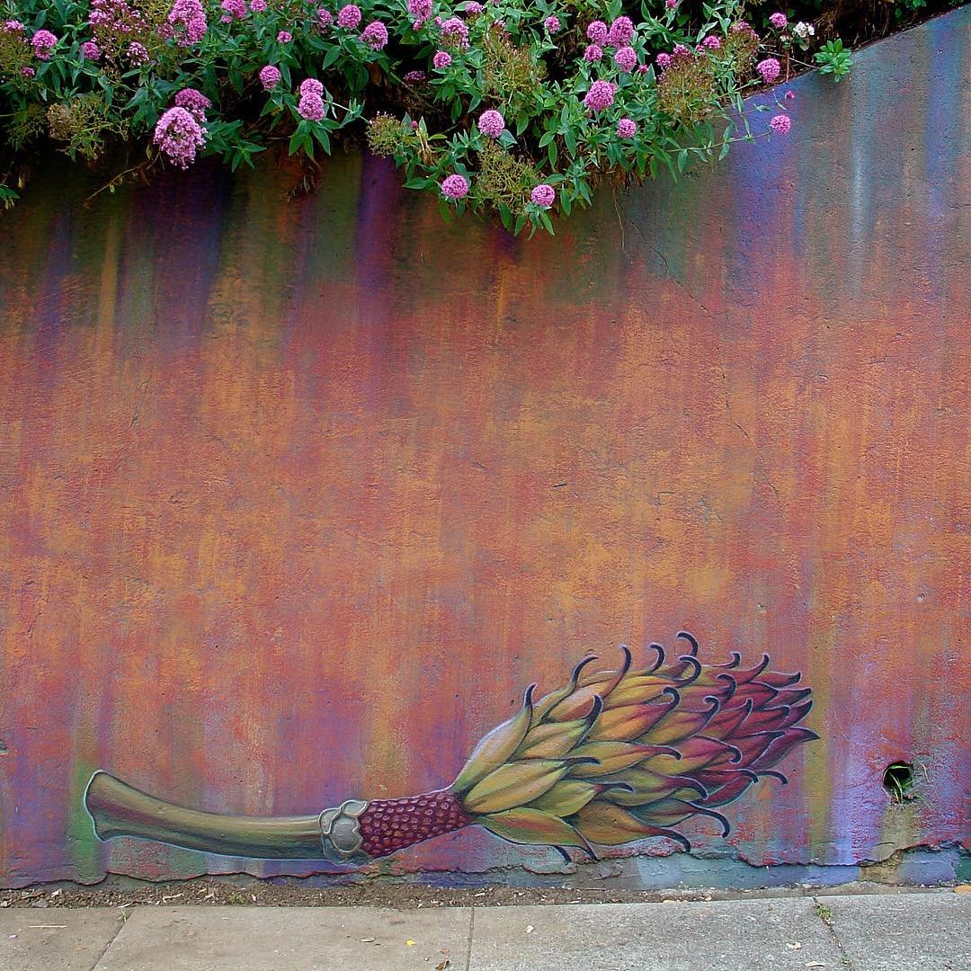 Цветочные рисунки на стенах городов от Моны Карон