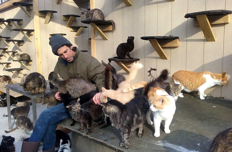 Житель Нью-Йорка поселил 300 кошек у себя дома