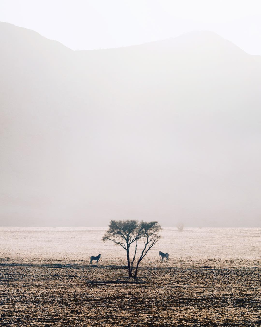 Природа и путешествия на снимках Тобиаса Мейера