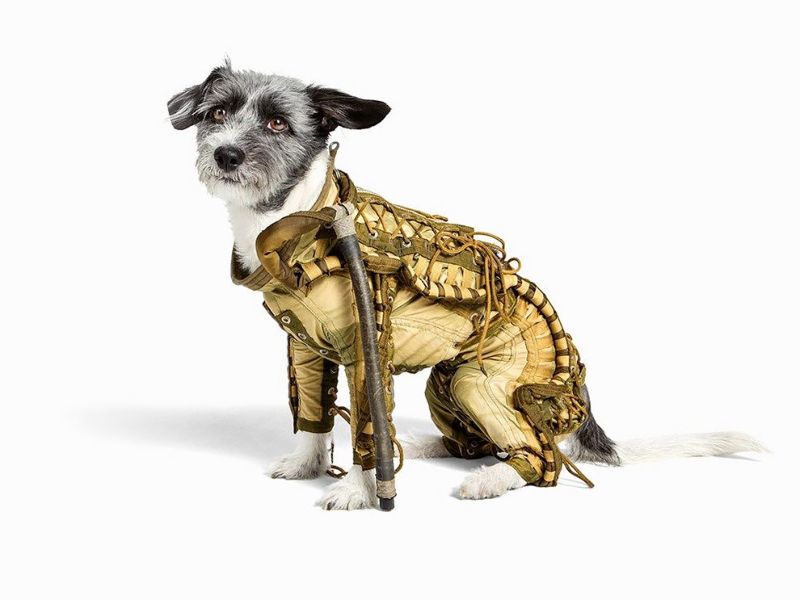 Советский костюм для собаки-космонавта