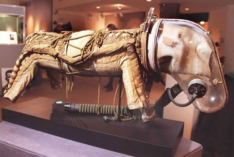 Советский костюм для собаки-космонавта