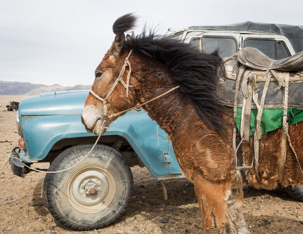 О жизни в Монголии от австралийского фотографа