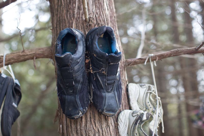 Таинственный обувной лес