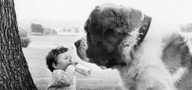 Дети и животные на снимках Джона Дрисдейла