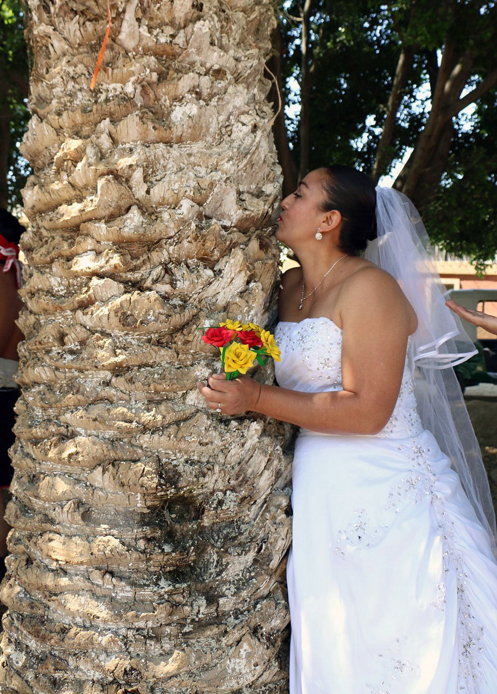 Мексиканки вышли замуж за деревья