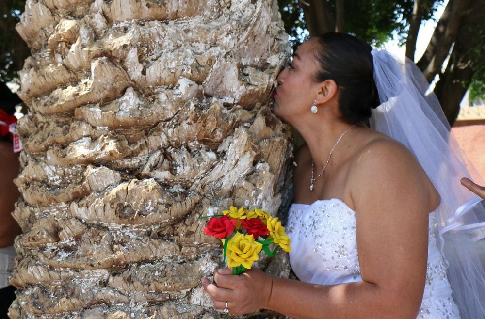 Мексиканки вышли замуж за деревья